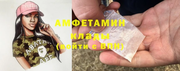 молекула духа Балахна