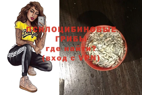 молекула духа Балахна