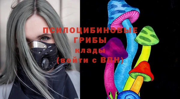 молекула духа Балахна