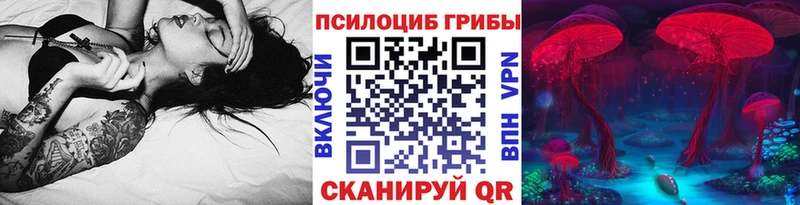 купить закладку  Радужный  Псилоцибиновые грибы Psilocybe 